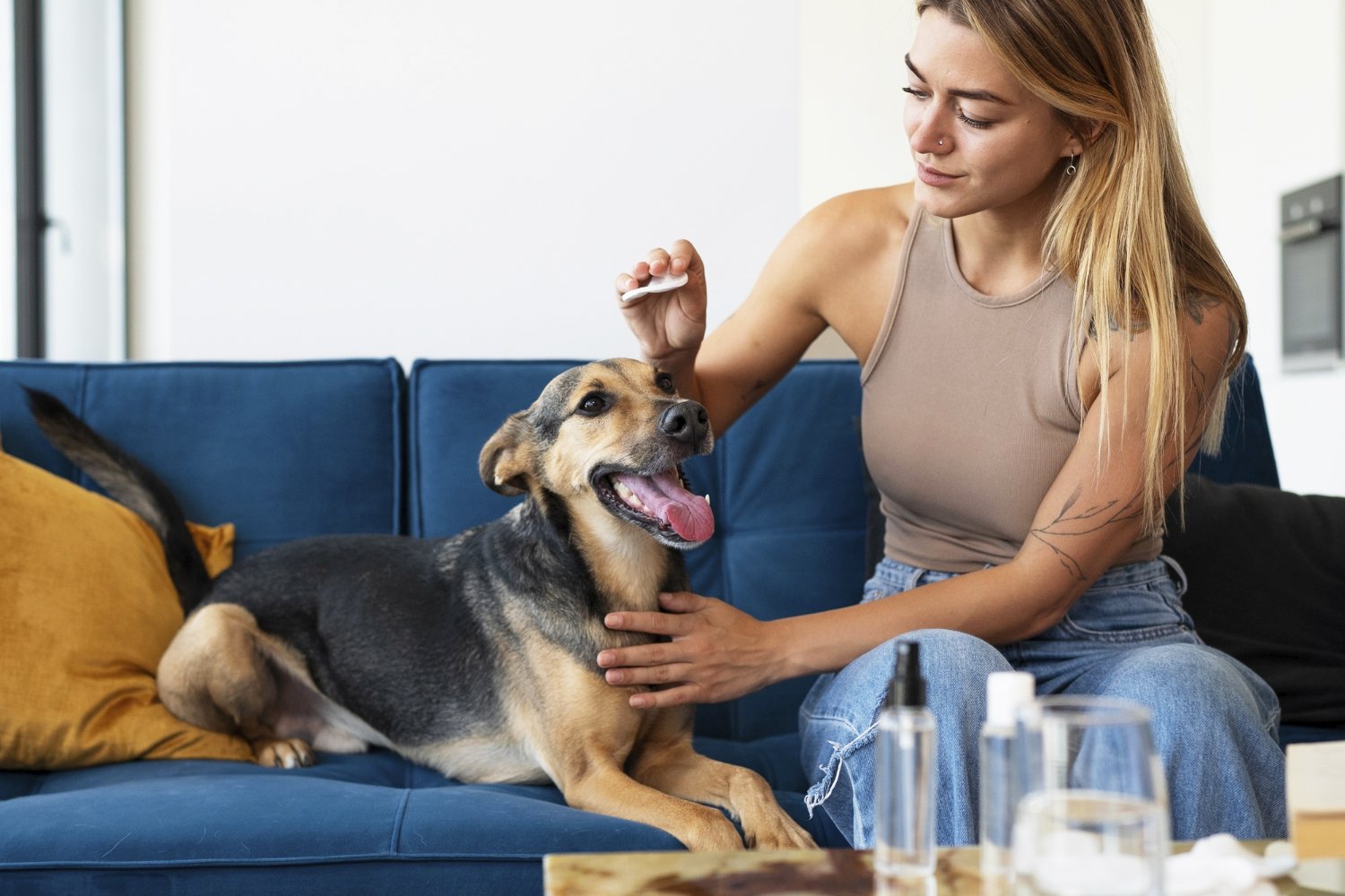 Спрей от блох для собак в домашних условиях: 5 натуральных проверенных средств